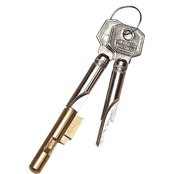 Spersleutel E6 diameter 6 mm - incl. 2 sleutels